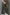 WMNS Premium Stretch Scrub Set – ARMY GREEN